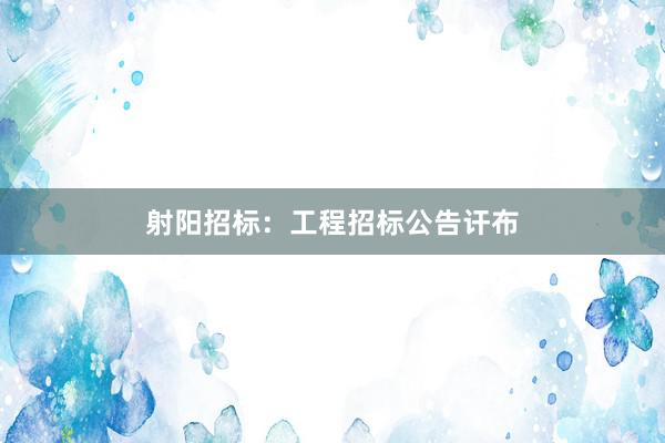 射阳招标：工程招标公告讦布