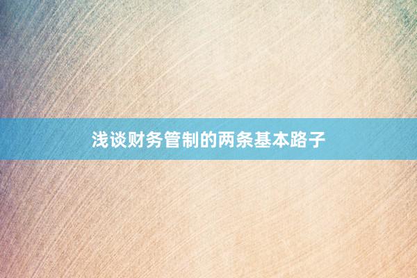 浅谈财务管制的两条基本路子