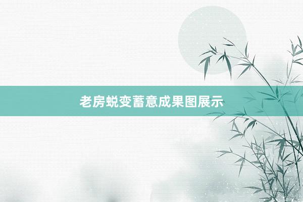 老房蜕变蓄意成果图展示