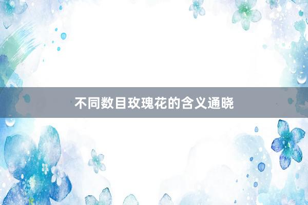 不同数目玫瑰花的含义通晓