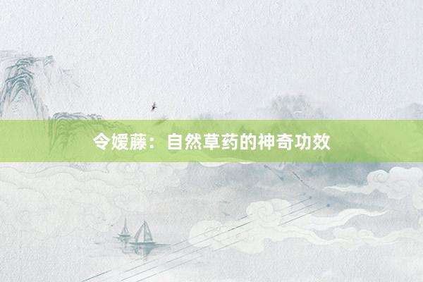 令嫒藤：自然草药的神奇功效