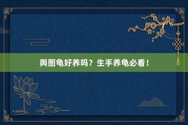 舆图龟好养吗？生手养龟必看！