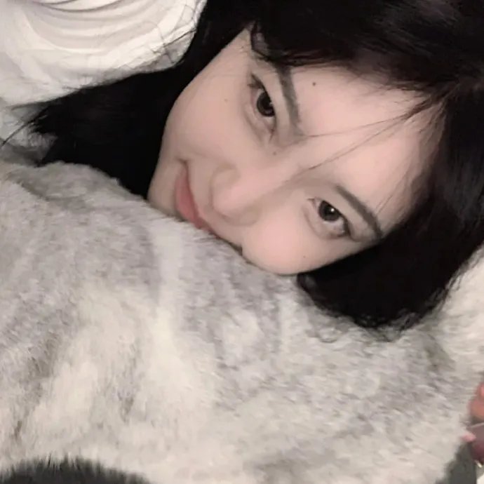 床垫里的百万欧元